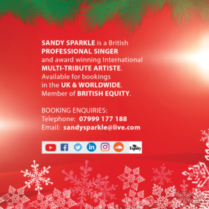 Diseño de Portada de CD por diana popescu para Sandy Sparkle | Diseño: #17546503