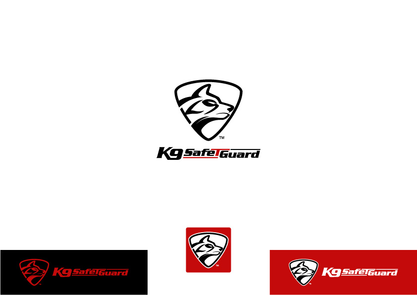 Logo Design by ~idiaz~ for capital asset group | Design #17443399