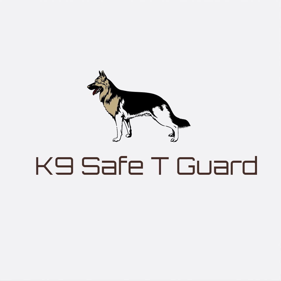 Logo Design by agim.amir for capital asset group | Design #17484574