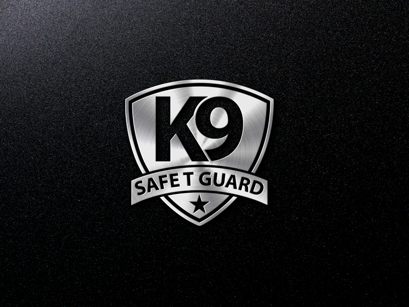 Logo Design by the majestic design for capital asset group | Design #17447827