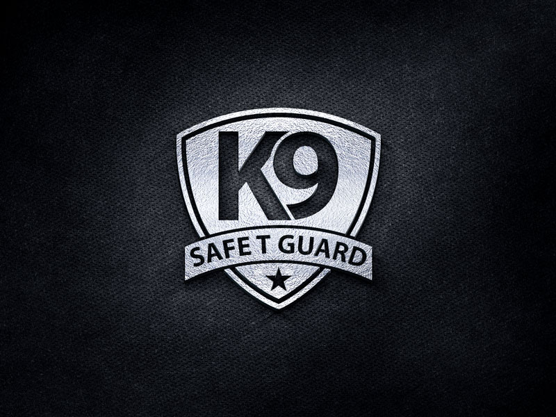 Logo Design by the majestic design for capital asset group | Design #17447847