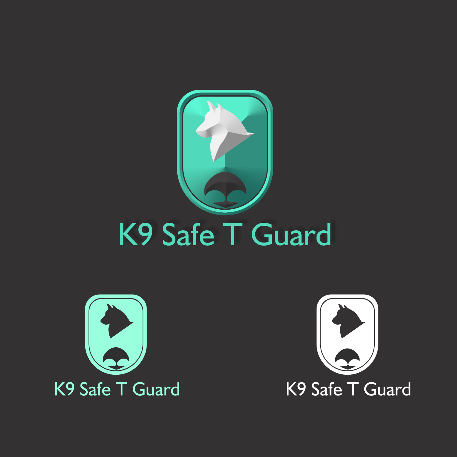 Logo Design by Adriel_ for capital asset group | Design #17503605