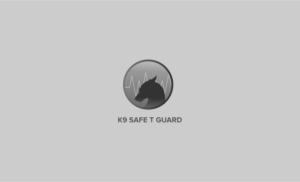 Logo Design by DyzDesign