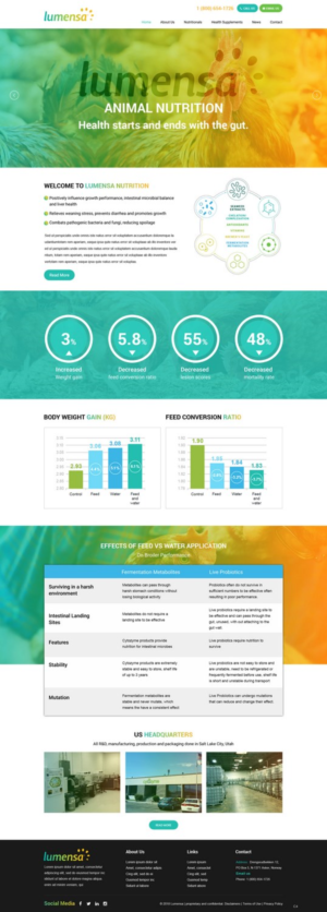 Web-Design von pb