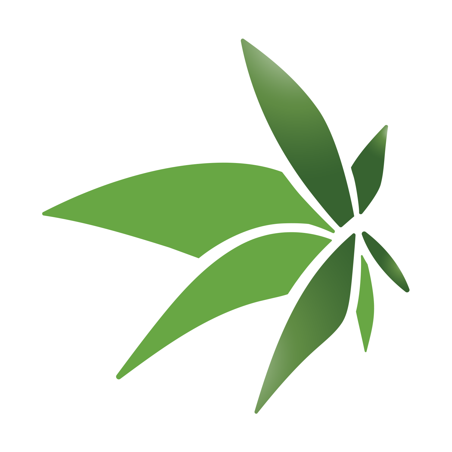 Logo Design by rahat 4 for Selsi Searocks | Design #17367703