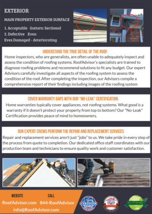 Flyer Design by Spydaman for this project | Design: #17455887