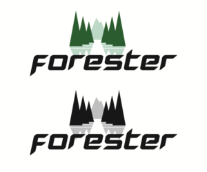 Logo Design by Taiki Design for this project | Design: #17369083