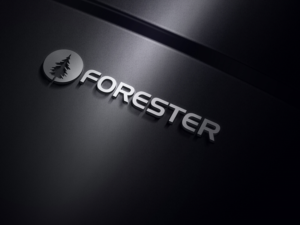 Logo Design by {Backspace} for this project | Design: #17349783