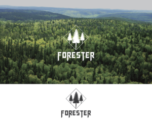 Logo-Design von Deep Night für dieses Projekt | Design: #17340547