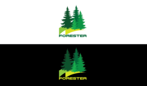 Logo Design by ielu for this project | Design: #17368817