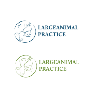 Logo Design by zouhair Art
