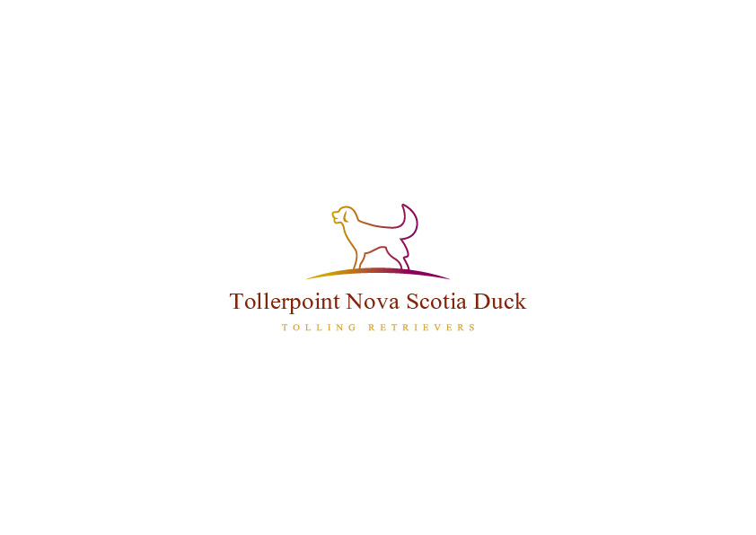 Logo Design by ~idiaz~ for Tollerpoint | Design #17419743