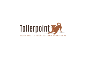 Logo Design by instudio for Tollerpoint | Design: #17353350