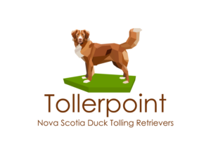 Logo Design by Witthaya Worawut for Tollerpoint | Design: #17418799