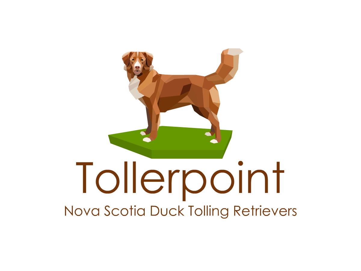 Logo Design by Witthaya Worawut for Tollerpoint | Design #17428767
