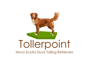 Logo Design by Witthaya Worawut for Tollerpoint | Design: #17428767