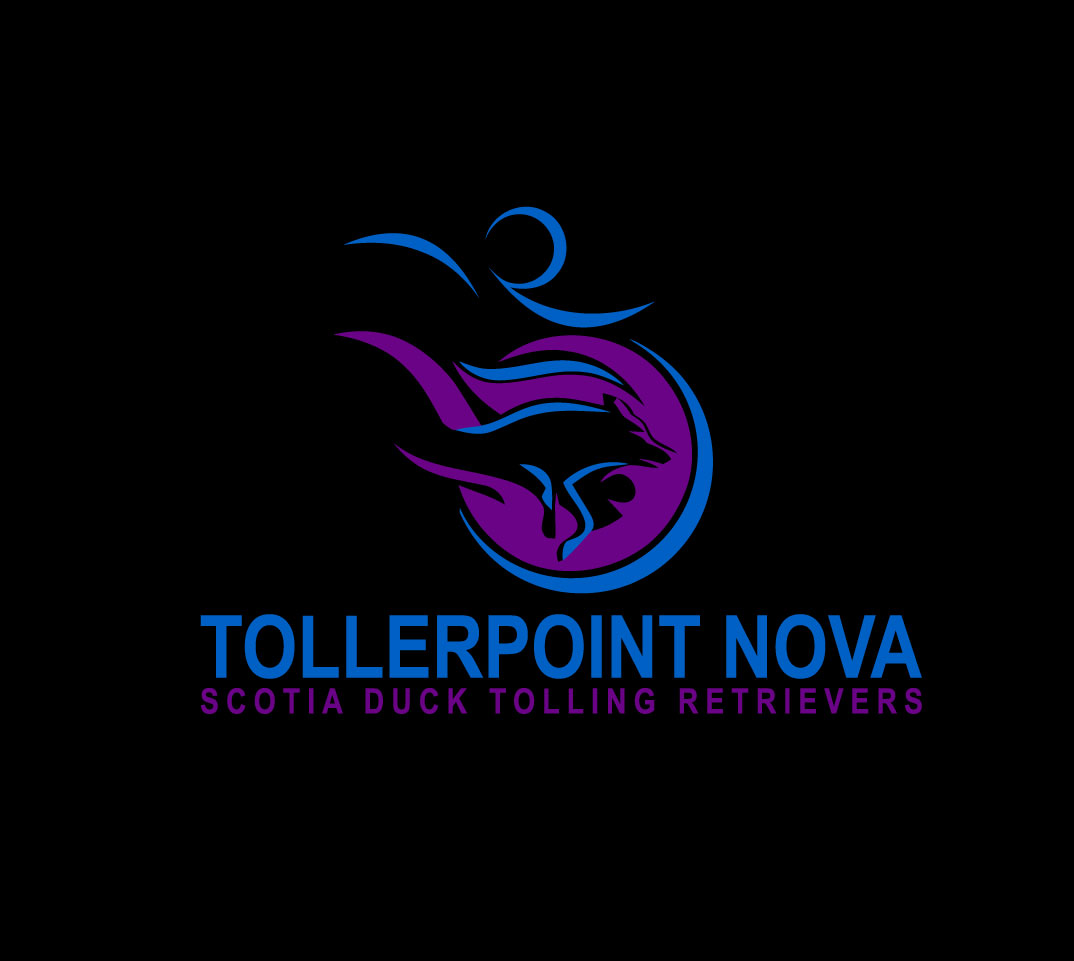Logo Design by rocklee for Tollerpoint | Design #17367885