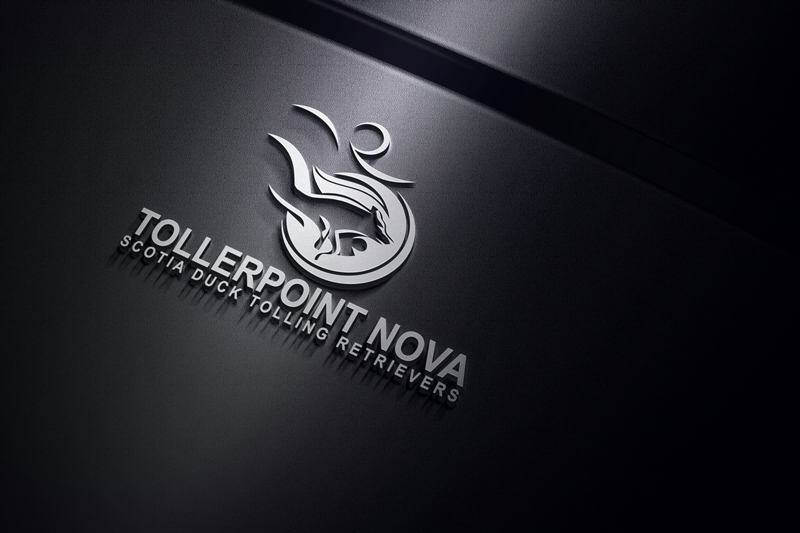 Logo Design by rocklee for Tollerpoint | Design #17367894