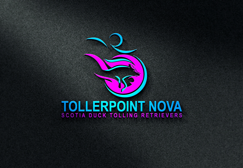 Design de Logo par rocklee pour Tollerpoint | Design #17367896