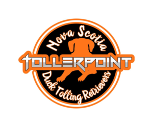 Logo Design by albert12001 for Tollerpoint | Design: #17441093