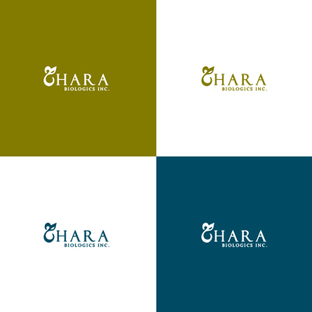 Logo Design by hvdesigns for this project | Design #17367218