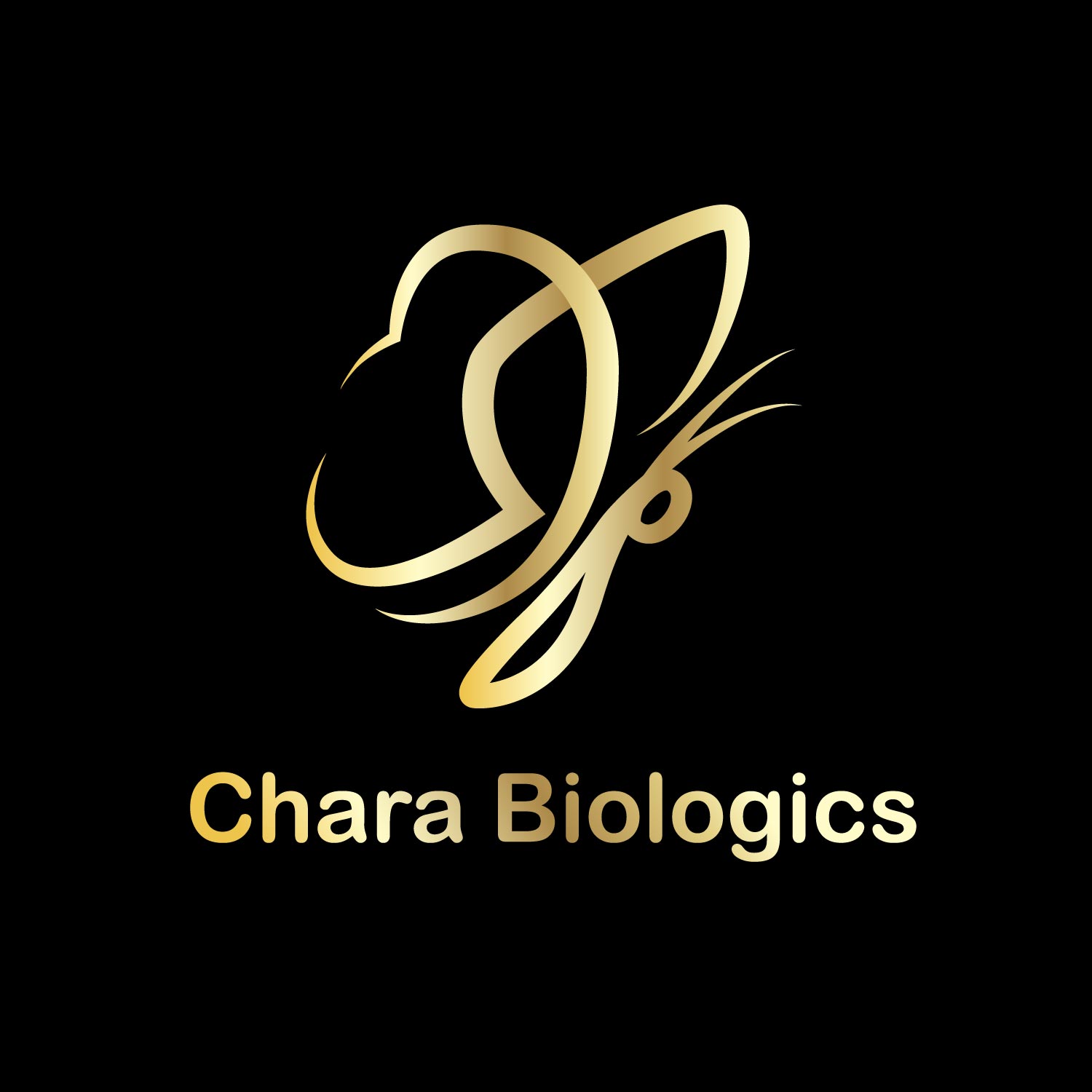 Logo Design by 69demo for this project | Design #17361307