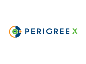 Perigee X | Logo Design by Buck Tornado