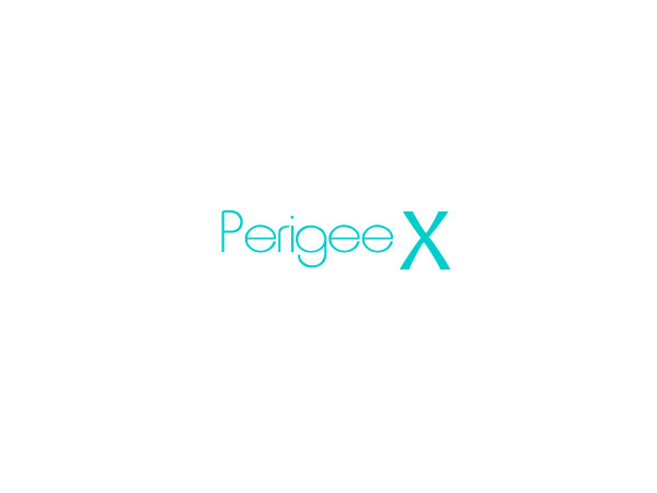 Logo Design by Pixel Pix for Perigee X Consulting, Inc. | Design #633010