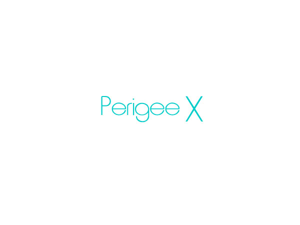 Logo Design by Pixel Pix for Perigee X Consulting, Inc. | Design #633014