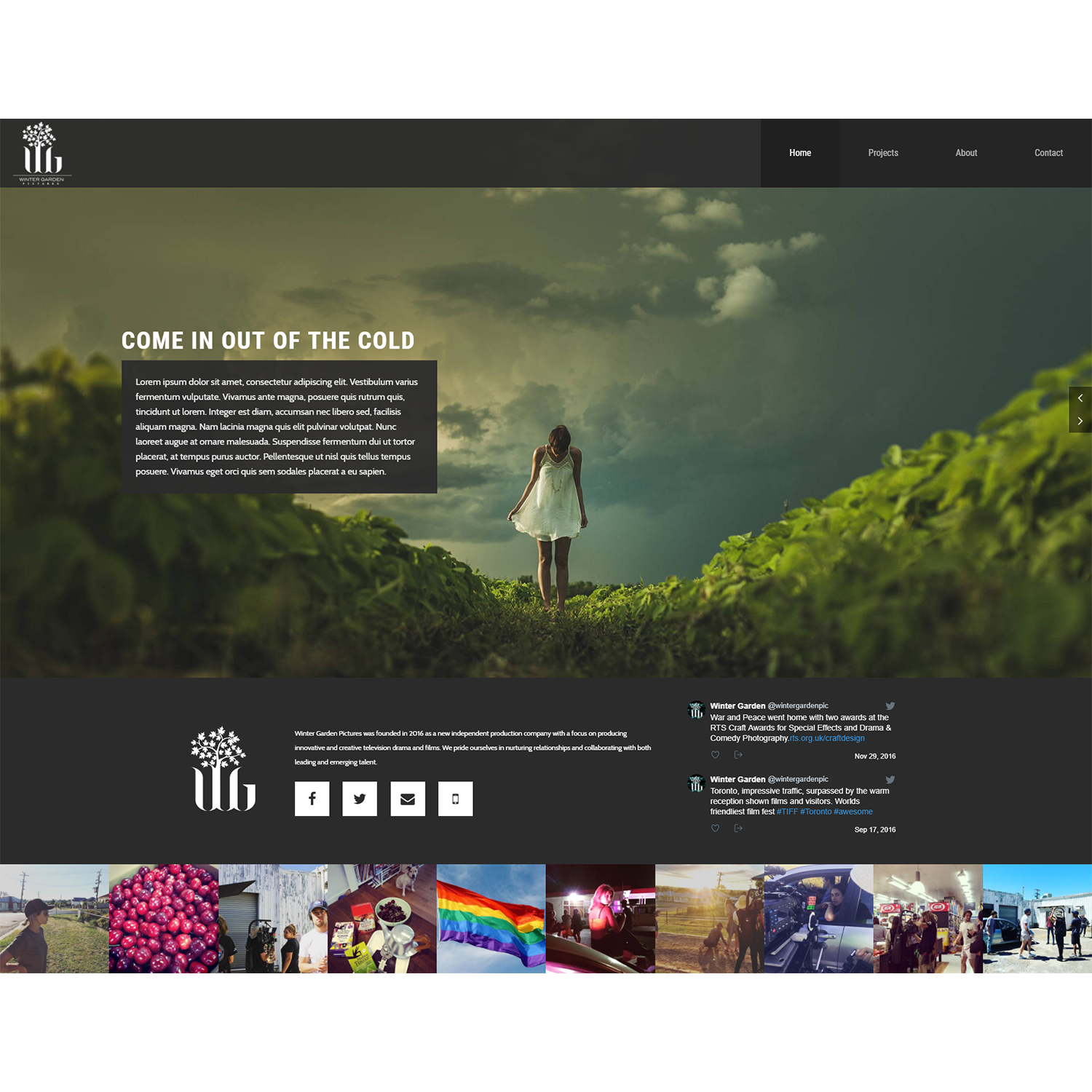 Web Design par adnanf2 pour Winter Garden Pictures Ltd. | Design #17412296