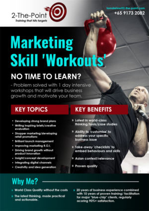 Design de Flyer par elenaivanova pour 2-the-Point Marketing Pte Ltd | Design : #17355794