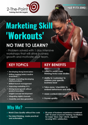 Diseño de Flyer por elenaivanova para 2-the-Point Marketing Pte Ltd | Diseño: #17391440