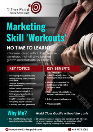 Diseño de Flyer por elenaivanova para 2-the-Point Marketing Pte Ltd | Diseño: #17391453