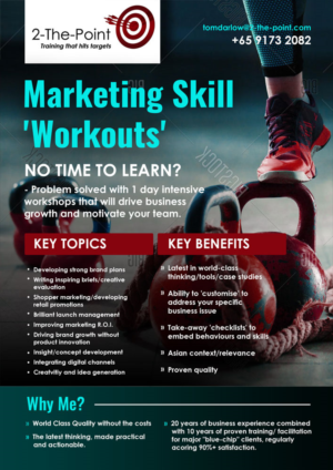Diseño de Flyer por elenaivanova para 2-the-Point Marketing Pte Ltd | Diseño: #17391713