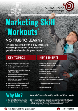 Design de Flyer par elenaivanova pour 2-the-Point Marketing Pte Ltd | Design : #17391895