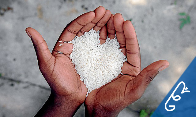 Logo Design by markgraphics.ja for this project | Design #17382305