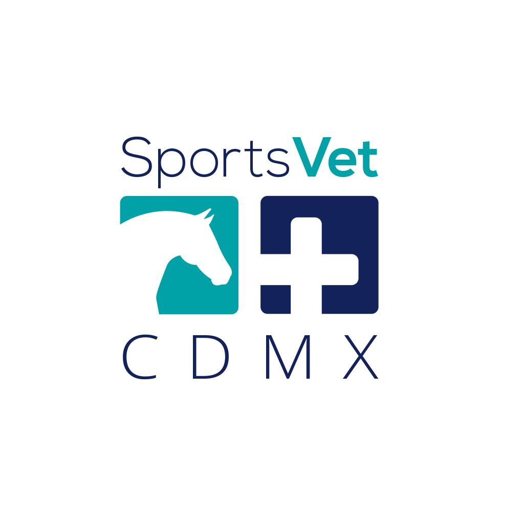 Design de Papeterie par Marta Sobczak  pour ce projet | Design #17470936