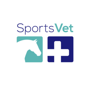 Veterinarian specialized in Equine (horse) sports medicine needs logo and stationary design!  | Diseño de Papelería por Marta Sobczak 