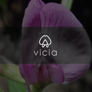 Logo Design by rendy cemix
