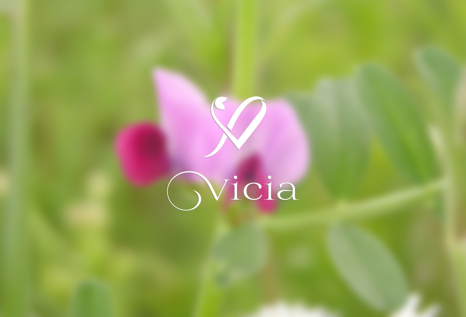 Design de Logo par A.STUDIO pour Floway Corporation Ltd. | Design #17494233