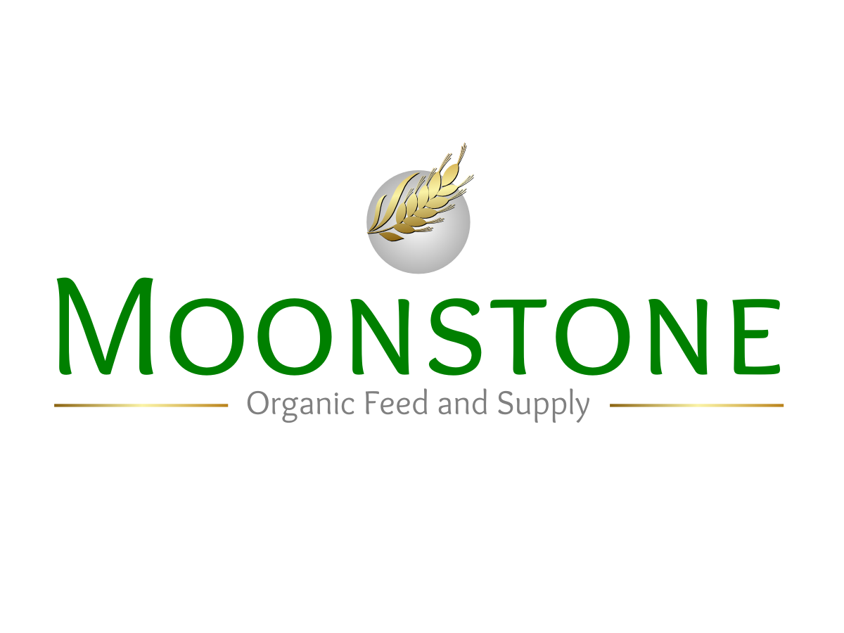 Diseño de Logo por Kokolina para este proyecto | Diseño #642711