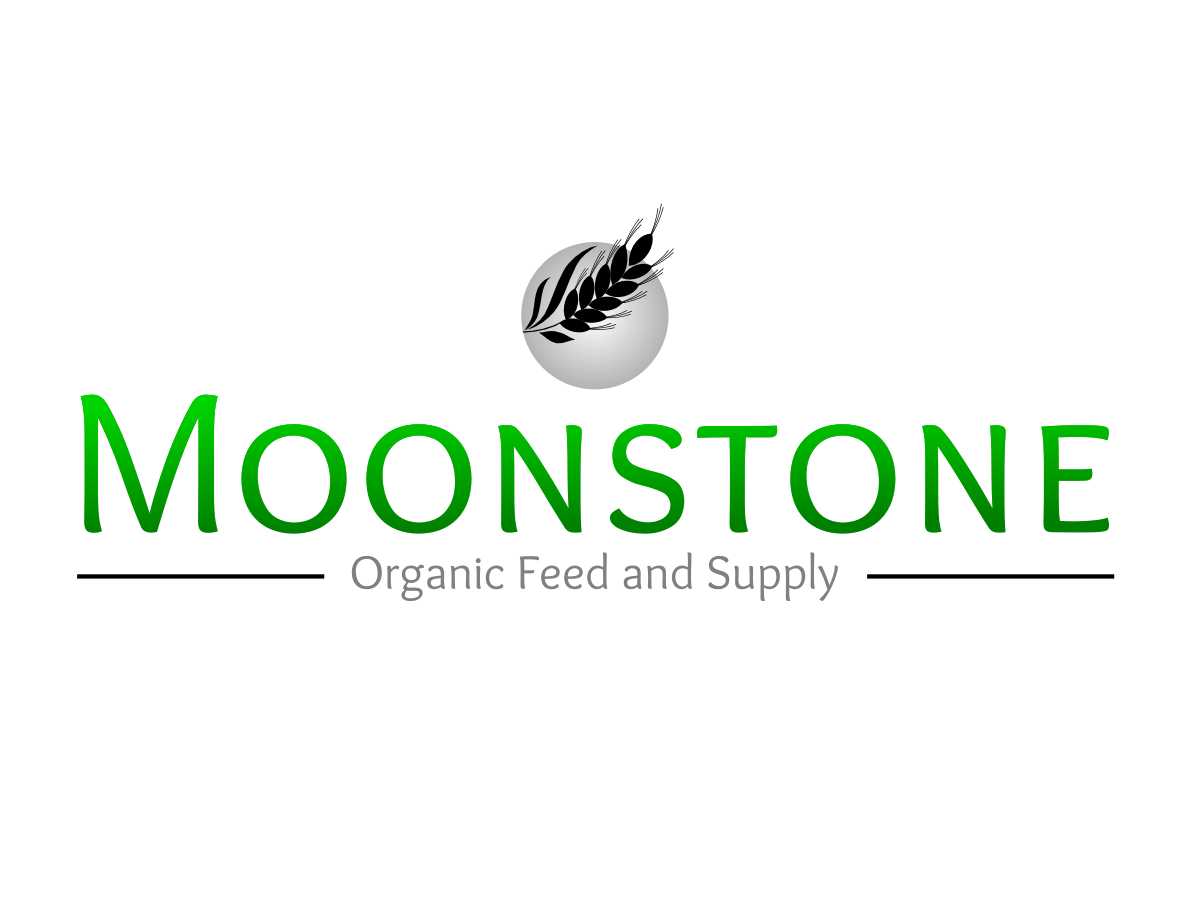 Diseño de Logo por Kokolina para este proyecto | Diseño #642712