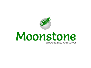Logo Design by Kokolina for this project | Design: #642715