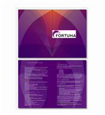 Web Design Brochure