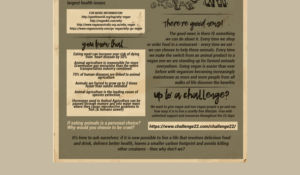 Flyer Design by RebecaParra for Staazi & Co | Design: #17426192