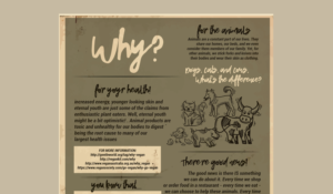 Flyer Design by RebecaParra for Staazi & Co | Design: #17426193