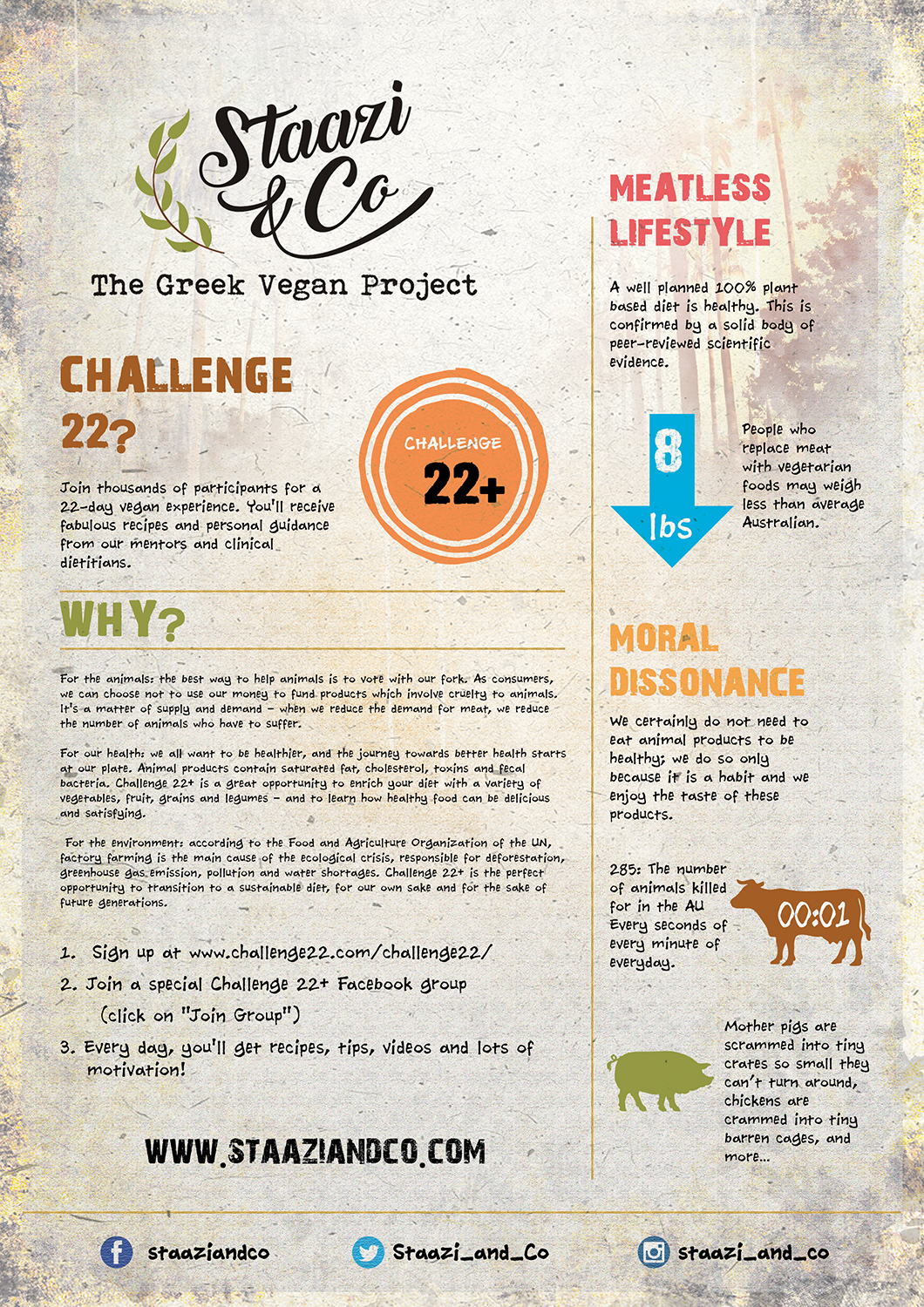 Flyer Design by VEGA-Designs for Staazi & Co | Design #17415916