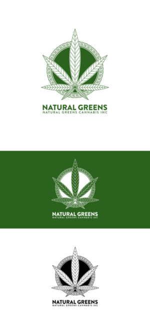 Logo Design by anshtoyj for this project | Design #17383509