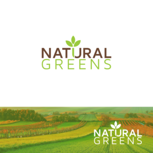 Design de Logo par Andrei Negru pour ce projet | Design : #17393621