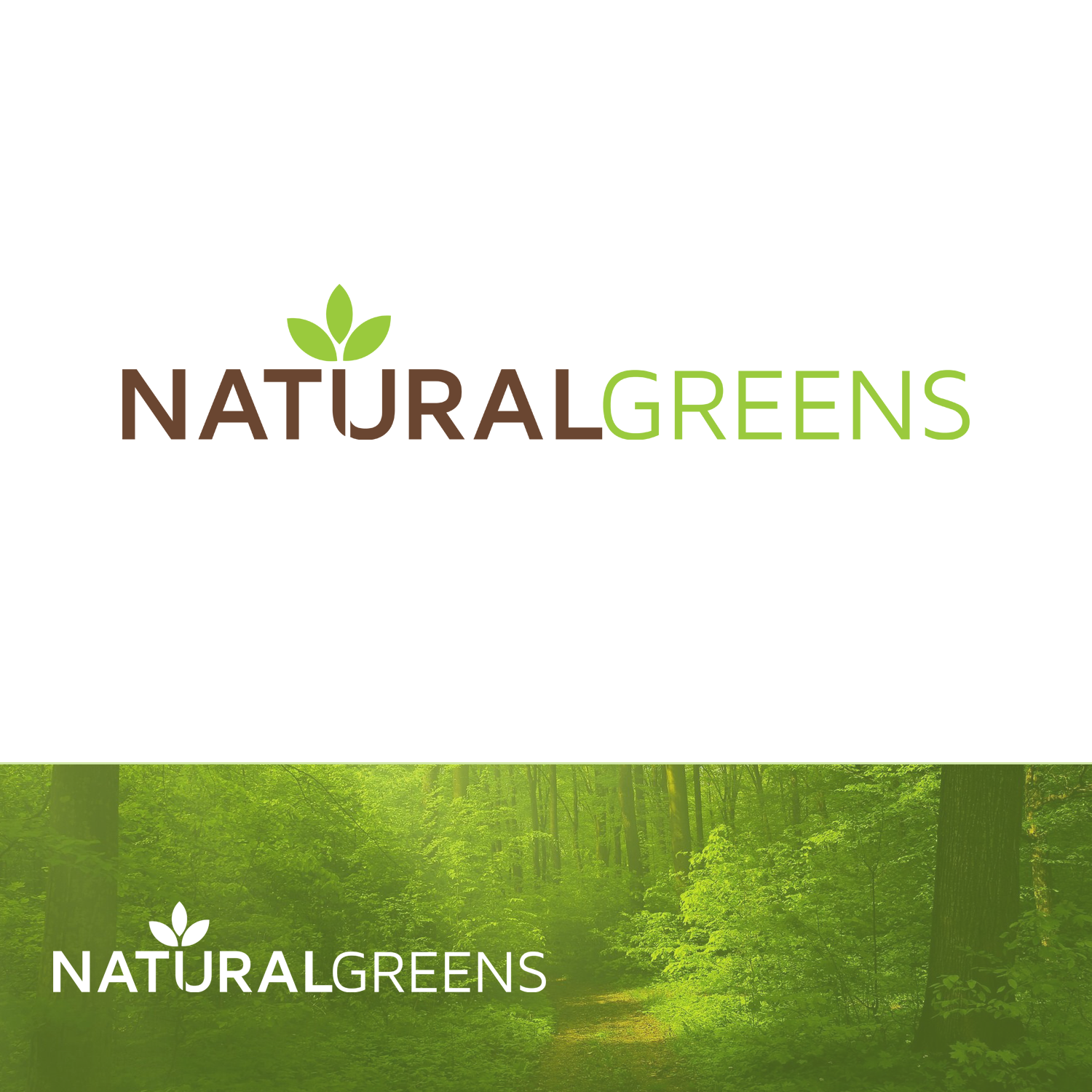 Logo Design by Andrei Negru for this project | Design #17393622